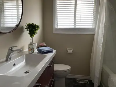 a bathroom with a sink and a toilet and a mirror at Hammer Haus III in Waterloo