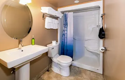 a bathroom with a sink and a toilet and a mirror at 3 Pines Lodge Muskoka in Huntsville