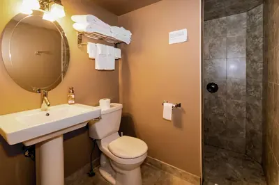 a bathroom with a toilet and a sink and a shower at 3 Pines Lodge Muskoka in Huntsville