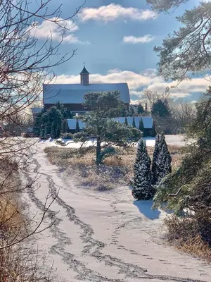 a dirt road with christmas trees and a barn at The Eddie Hotel and Farm in Bloomfield