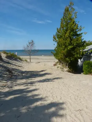 a sandy beach with a tree and the ocean at Oasis by the Bay Vacation Suites in Wasaga Beach