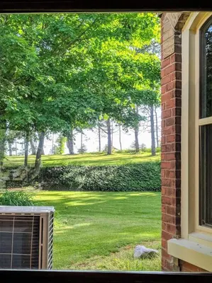 a window view of a yard with trees and grass at The Front Porch Room of a 140-Year-Old Victorian House in Orangeville