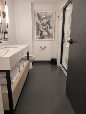 a bathroom with two sinks and a toilet and a painting at Bloom Mississauga, Tapestry Collection By Hilton in Mississauga