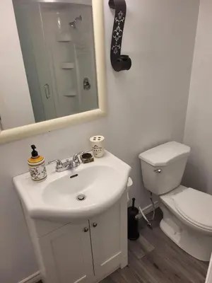 a bathroom with a sink and a toilet and a mirror at Adorable Studio Basement Suite in South Barrie in Barrie