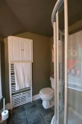 a bathroom with a toilet and a shower at Windswept on the Trent in Campbellford