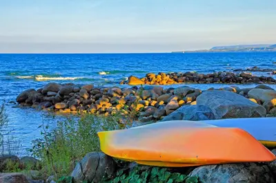 two surfboards sitting on the rocks near the ocean at Wintergreen 127 in Blue Mountains