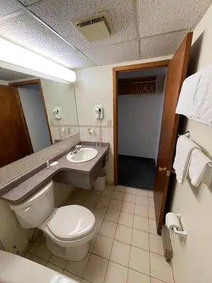 a bathroom with a toilet and a sink and a mirror at 6032 Persepolis Inn in Niagara Falls