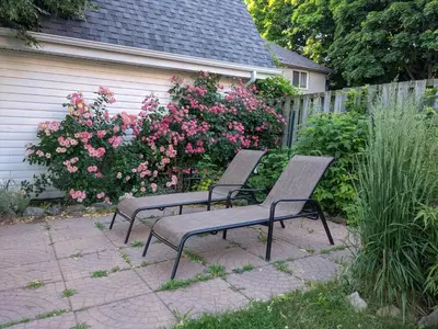 two benches sitting next to a fence with pink flowers at Garden 2 Storey House in Niagara Falls