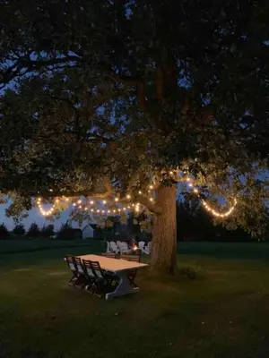 a picnic table under a tree with lights on it at The Prince Edward County Church, A Unique Escape in Belleville