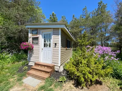 a small shed with a white door in a garden at Dreamers Writing Farm, 3 Wooded Acres, Hepworth in Sauble Beach