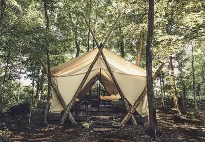 a tent in the middle of a forest at Fronterra Wellness Farm & Camp in Hillier