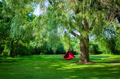 a red tent under a tree in a field at Nature Oasis Mar Suite in Dundas