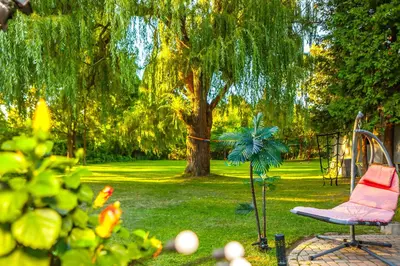 a garden with a chair and a tree and a swing at Nature Oasis Mar Suite in Dundas