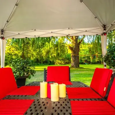 Nature Oasis Bar Room