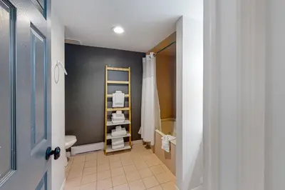 a bathroom with a toilet and a shower at Wintergreen 126 in Blue Mountains