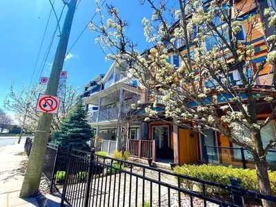 a flowering tree in front of a building with a no parking sign at Stunning Rooms in Townhouse across the Beach in Toronto