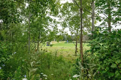 a park with trees and a field in the background at Luxurious Rivergrass Blue Mountain Retreat in Blue Mountains