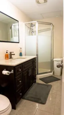 a bathroom with a shower and a toilet and a sink at Cozy Sunset Cottage Overlooking Rice Lake in Roseneath