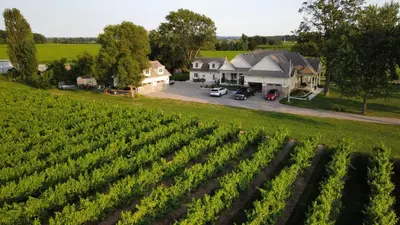 an aerial view of a farm with a field of vines at Villa in the Vines in Niagara on the Lake