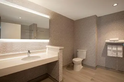 a bathroom with a sink and a toilet and a mirror at Great Blue Heron Hotel in Port Perry