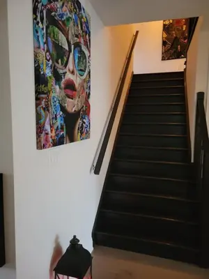 a painting of a woman with a mask on the wall at Exclusive Townhome near West-Side Trails in Waterloo