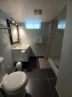 a bathroom with a toilet and a sink and a shower at Niagara Falls Dream Family Retreat in Niagara Falls