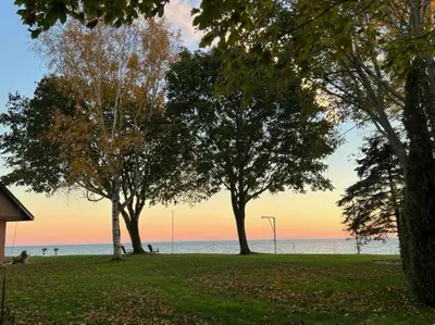a group of trees in a park near the ocean at Beach House in Niagara in Wainfleet