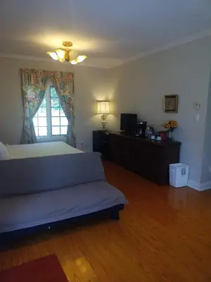 a bedroom with a bed and a television in it at Resort style entire guesthouse-2 rooms in Tottenham
