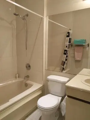 a bathroom with a toilet and a tub and a sink at Resort style entire guesthouse-2 rooms in Tottenham