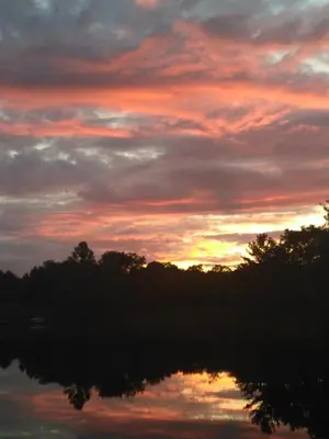 a sunset over a body of water with trees at Resort style entire guesthouse-2 rooms in Tottenham