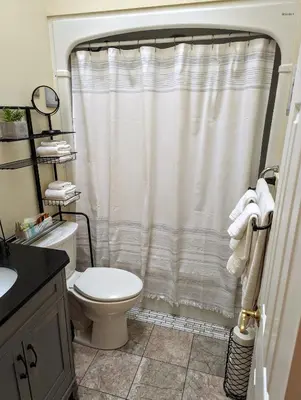 a bathroom with a toilet and a shower curtain at Suites On King in Niagara on the Lake