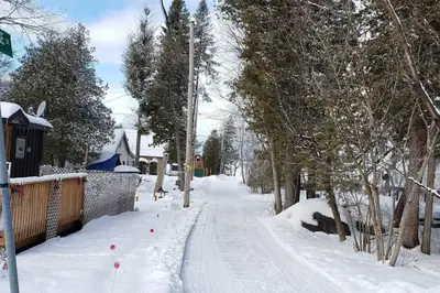 a snow covered street with trees and buildings at Modern Chic Cottage - Hot Tub, Sauna, Tay Trail in Waubaushene