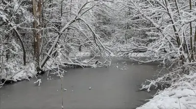 a snow covered forest with a river and trees at La Datcha 20 Acres Private Spa, with Pool, Jacuzzi & Wood Burning Sauna in Cookstown