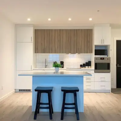Cozy 1BR Condo w/ Insuite LDRY