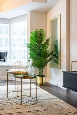 a living room with a table and a plant at Yorkville Living 1 BR-1BA with Gym in Upscale Area in Toronto