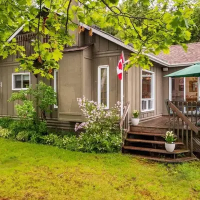 Bear Essentials Hideaway