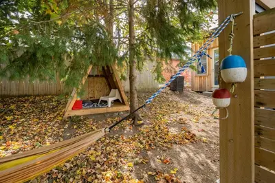a hammock in a yard next to a tree at Artistic Picton getaway in Picton